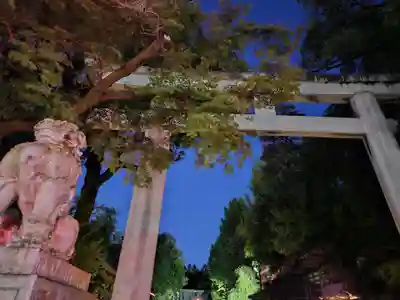 秩父神社(埼玉県)