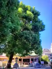 白山神社(東京都)