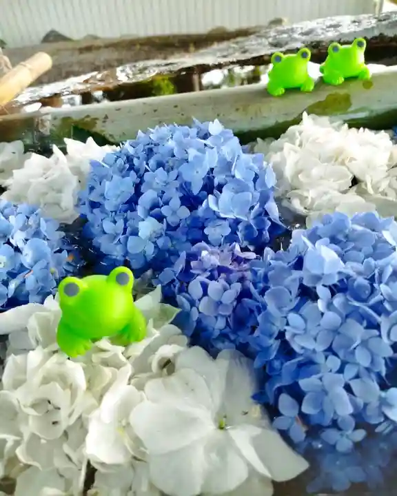 立志神社(滋賀県)