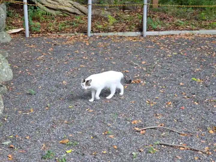 金守神社(静岡県)