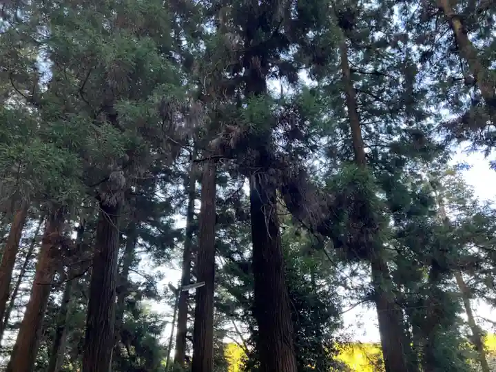 大宮温泉神社(栃木県)