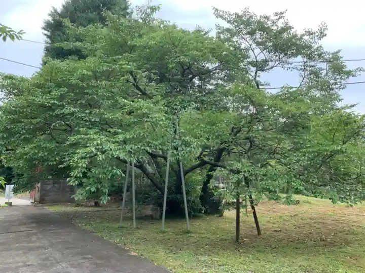 尊蓮院龍尾寺(千葉県)