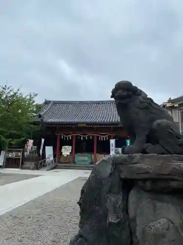 浅草神社の狛犬