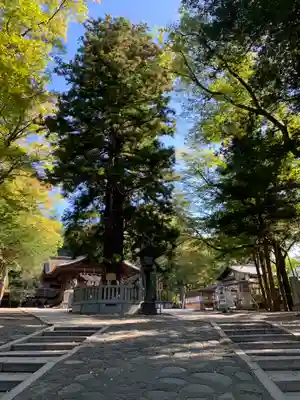 諏訪大社下社秋宮(長野県)