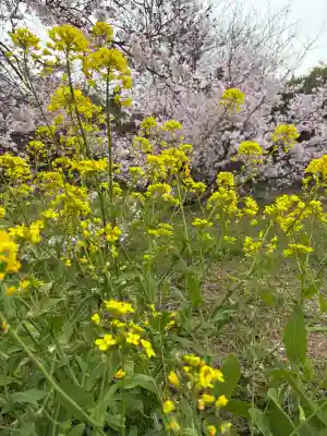 花岳寺の{uncategorized: "未分類", other: "その他", undefined: "問題あり", building: "その他建物", grave: "お墓", sacred_gate: "鳥居", guardian: "狛犬", statue: "像", buddha: "仏像", history: "歴史", nature: "自然", garden: "庭園", animal: "動物", pagoda: "塔", temizu: "手水舎", mountain_gate: "山門・神門", sanctuary: "本殿・本堂", subordinate: "末社・摂社", art: "芸術", scenery: "景色", jizo: "地蔵", ema: "絵馬", goshuin: "御朱印", omikuji: "おみくじ", items: "授与品その他", amulet: "お守り", goshuincho: "御朱印帳", eats: "食事", festival: "お祭り", votive_dance: "神楽", shichigosan: "七五三参", wedding: "結婚式", experience: "体験その他", initially: "初詣", around: "周辺", anti_infection: "感染症対策"}