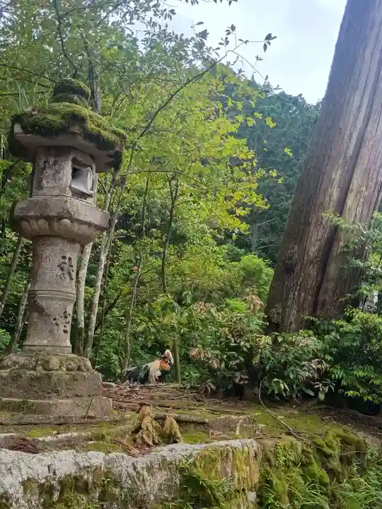 石上神宮(奈良県)