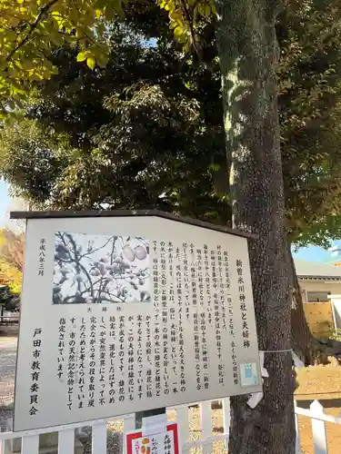 新曽氷川神社(埼玉県)