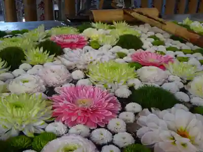 高円寺氷川神社の手水舎