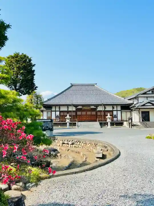 金蔵院(観音寺)の{uncategorized: "未分類", other: "その他", undefined: "問題あり", building: "その他建物", grave: "お墓", sacred_gate: "鳥居", guardian: "狛犬", statue: "像", buddha: "仏像", history: "歴史", nature: "自然", garden: "庭園", animal: "動物", pagoda: "塔", temizu: "手水舎", mountain_gate: "山門・神門", sanctuary: "本殿・本堂", subordinate: "末社・摂社", art: "芸術", scenery: "景色", jizo: "地蔵", ema: "絵馬", goshuin: "御朱印", omikuji: "おみくじ", items: "授与品その他", amulet: "お守り", goshuincho: "御朱印帳", eats: "食事", festival: "お祭り", votive_dance: "神楽", shichigosan: "七五三参", wedding: "結婚式", experience: "体験その他", initially: "初詣", around: "周辺", anti_infection: "感染症対策"}