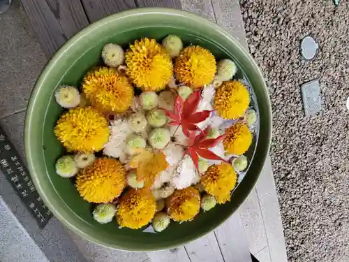 滑川神社 - 仕事と子どもの守り神の手水舎