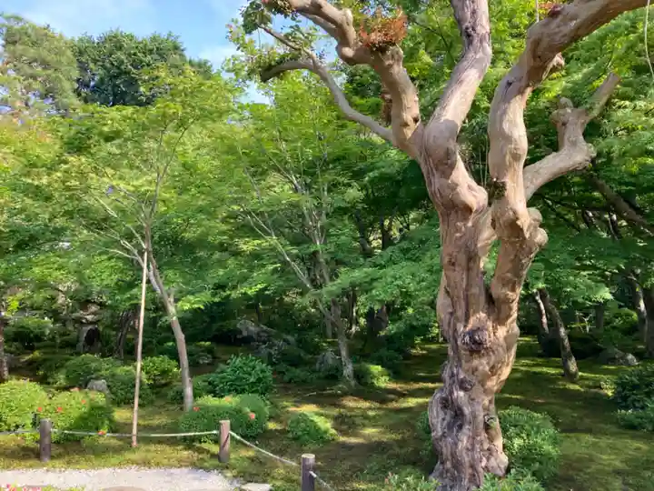 圓光寺(京都府)