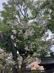 難波八阪神社(大阪府)