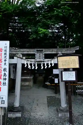 川越熊野神社の鳥居