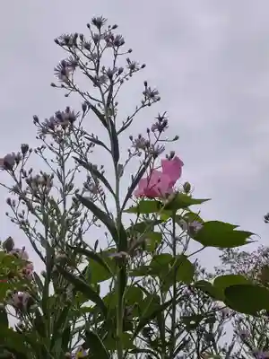 海蔵寺(神奈川県)