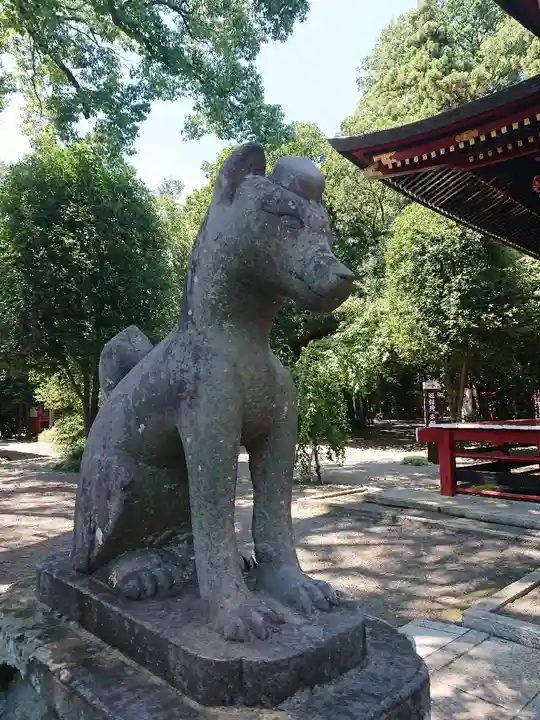 冠稲荷神社の狛犬