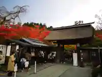 円通院の山門・神門