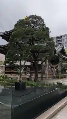 頂法寺（六角堂）(京都府)
