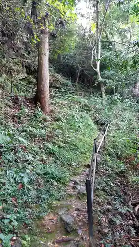 中山神社の自然