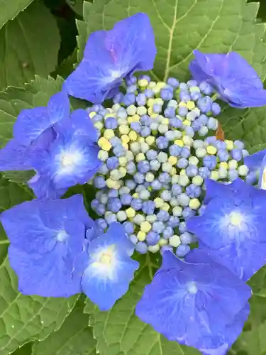 石都々古和気神社(福島県)