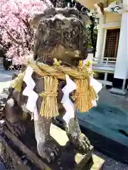 武雄神社の狛犬