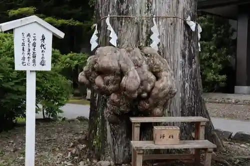 中禅寺のその他建物