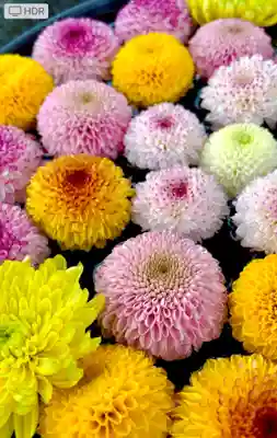 鹿島台神社の手水舎