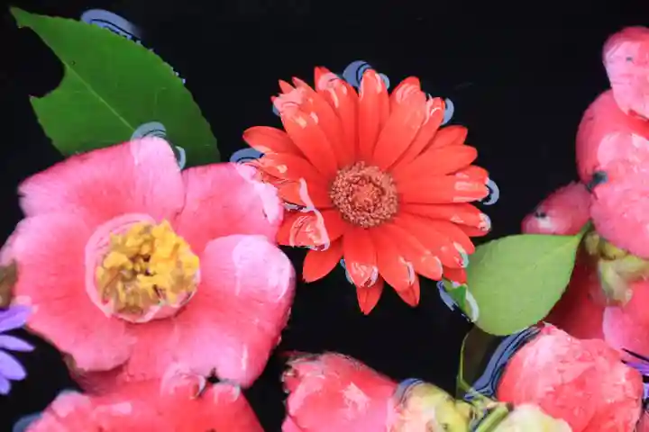 大鏑神社の手水舎