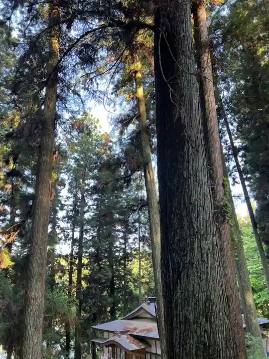 大宮温泉神社(栃木県)