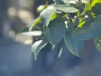 西方山極楽寺(岐阜県)