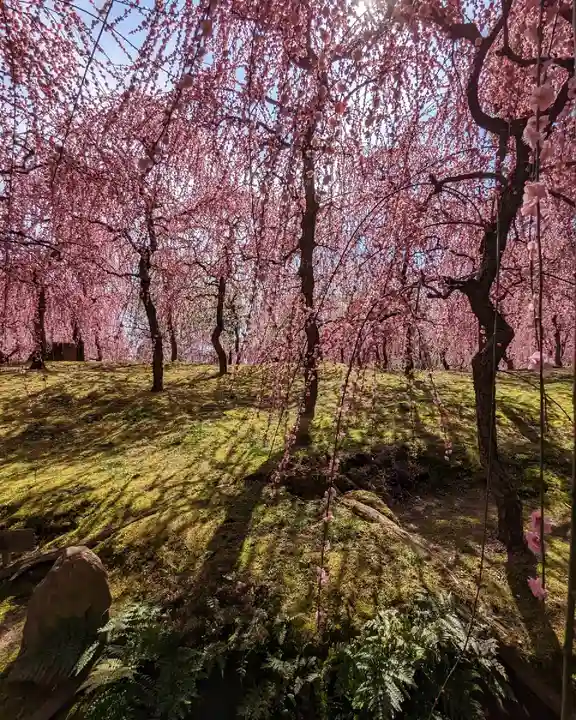 城南宮(京都府)