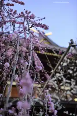 湯島天満宮(東京都)
