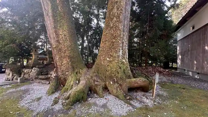 岡高神社(滋賀県)