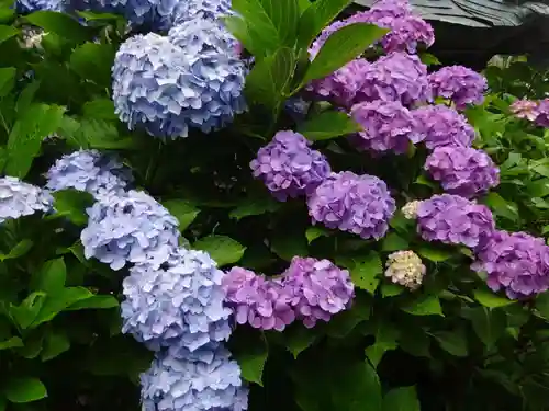 立志神社の自然