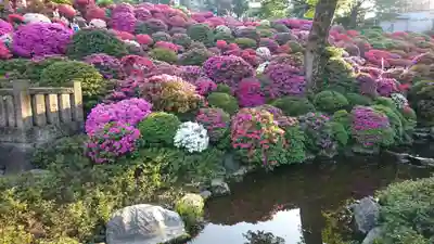 根津神社(東京都)