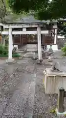 阿豆佐味天神社 立川水天宮の鳥居