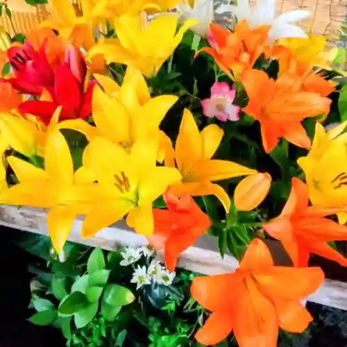 彌彦神社　(伊夜日子神社)の手水舎