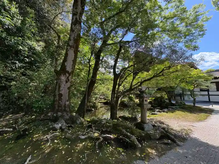 知恩院の{uncategorized: "未分類", other: "その他", undefined: "問題あり", building: "その他建物", grave: "お墓", sacred_gate: "鳥居", guardian: "狛犬", statue: "像", buddha: "仏像", history: "歴史", nature: "自然", garden: "庭園", animal: "動物", pagoda: "塔", temizu: "手水舎", mountain_gate: "山門・神門", sanctuary: "本殿・本堂", subordinate: "末社・摂社", art: "芸術", scenery: "景色", jizo: "地蔵", ema: "絵馬", goshuin: "御朱印", omikuji: "おみくじ", items: "授与品その他", amulet: "お守り", goshuincho: "御朱印帳", eats: "食事", festival: "お祭り", votive_dance: "神楽", shichigosan: "七五三参", wedding: "結婚式", experience: "体験その他", initially: "初詣", around: "周辺", anti_infection: "感染症対策"}