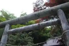 白鬚神社の鳥居