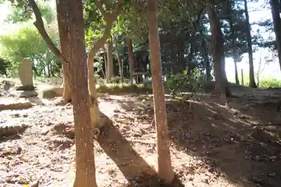 金鑚神社(埼玉県)