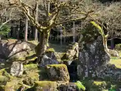 朝倉神社の庭園