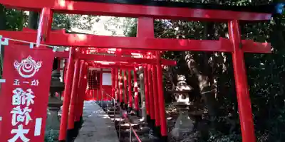 高倉稲荷神社の鳥居
