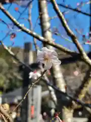 本圀寺(京都府)