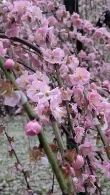 城南宮(京都府)