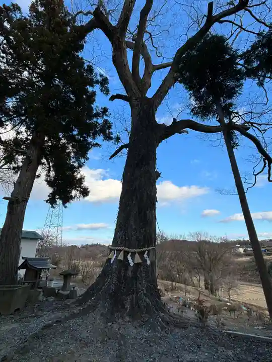 阿久津「田村神社」(郡山市阿久津町)旧社名:伊豆箱根三嶋三社(福島県)