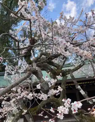 北野天満宮(京都府)