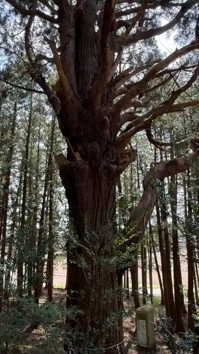 表刀神社(宮城県)