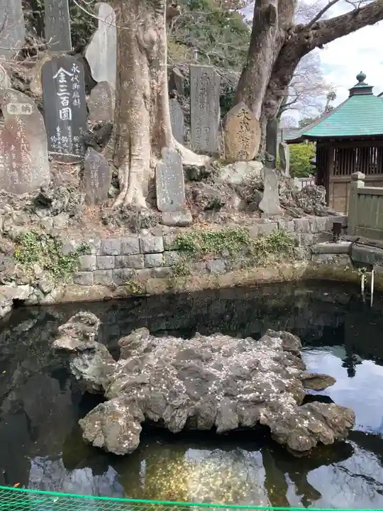 成田山新勝寺(千葉県)