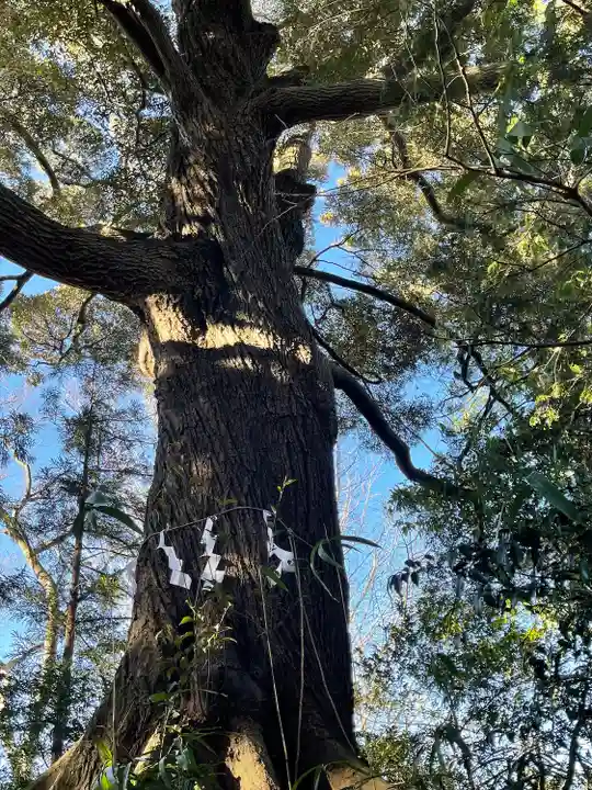 大聖寺(土浦大師不動尊)の自然