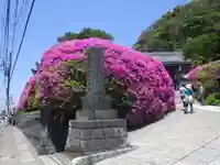 安養院 (田代寺)の周辺