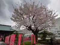 宗保院(東京都)